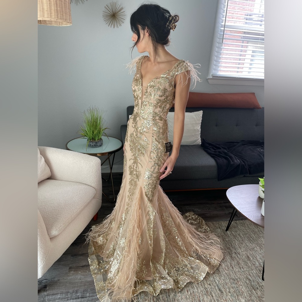 Cinderella Divine Elegant Evening/Prom Gown